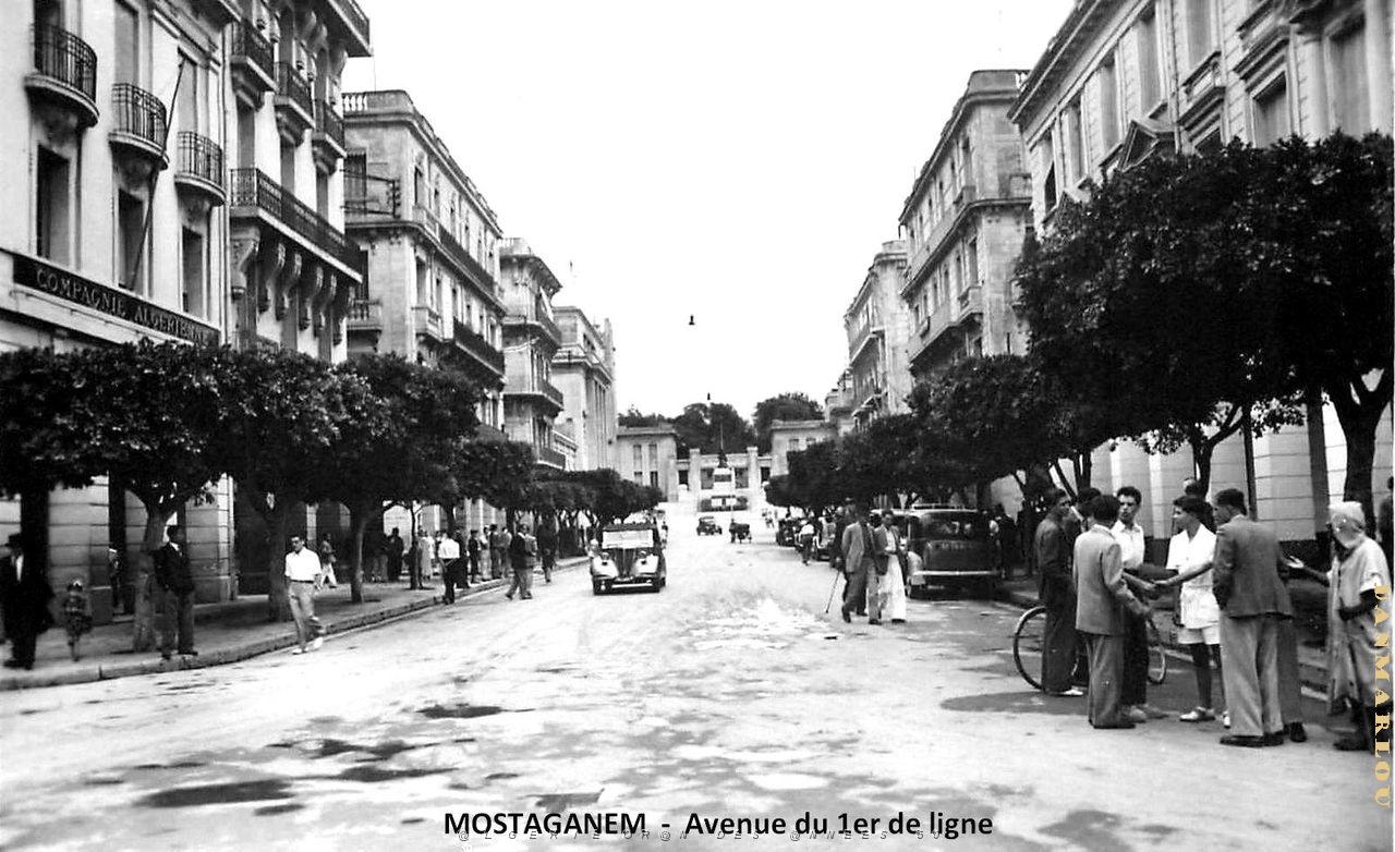 Mostaganem - Avenue du 1er de ligne3.jpg